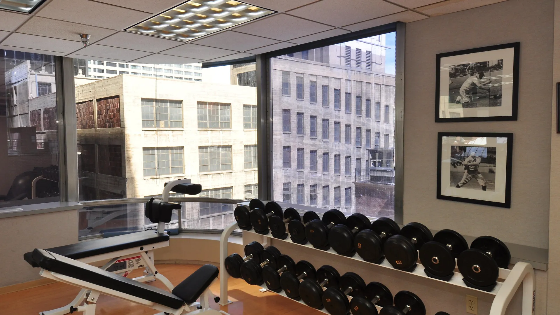 Hotel Holiday Inn Express Denver Downtown By Ihg